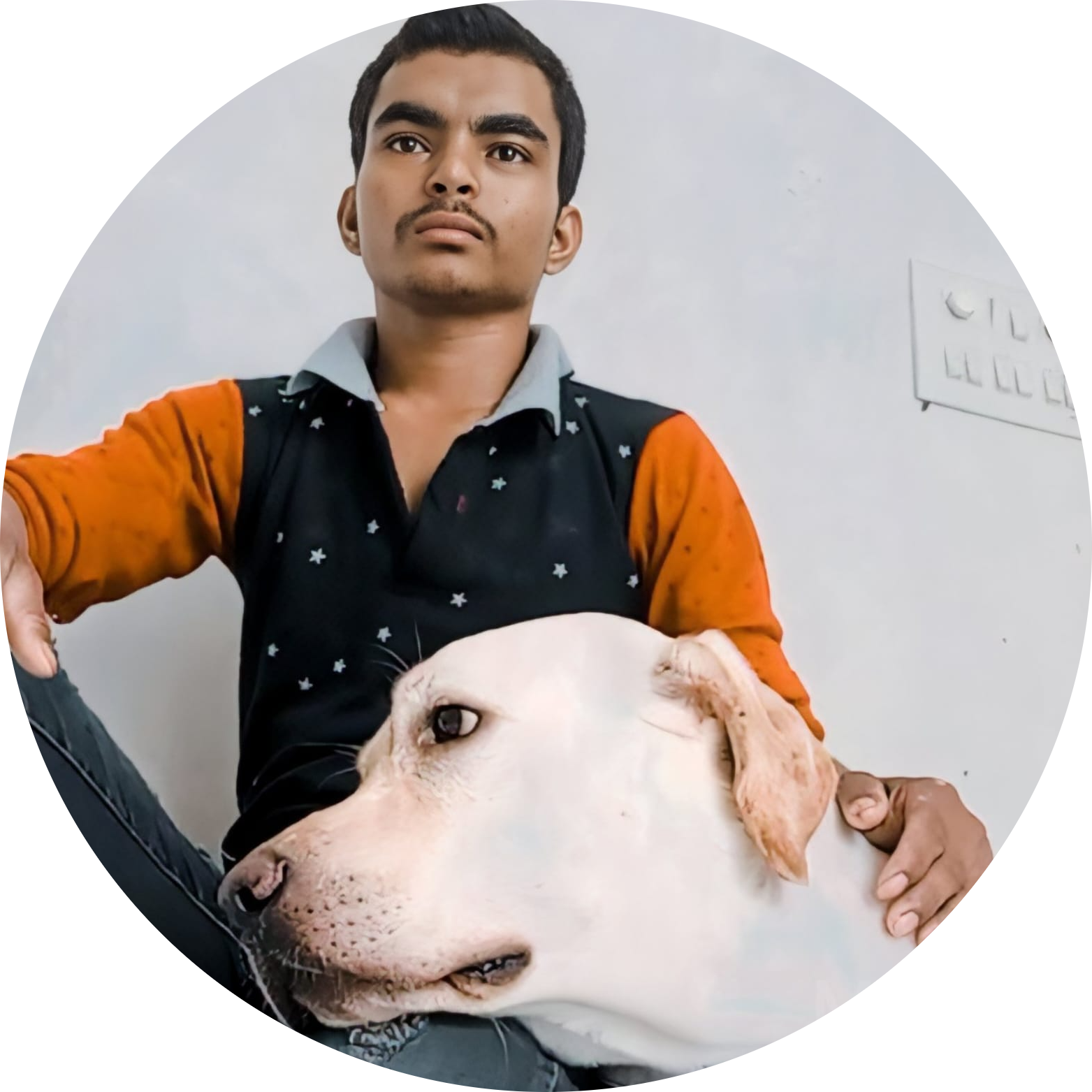 hero image
